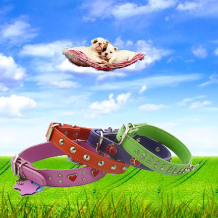 pet collars-pet leash