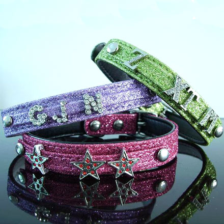 pet collars-pet leash