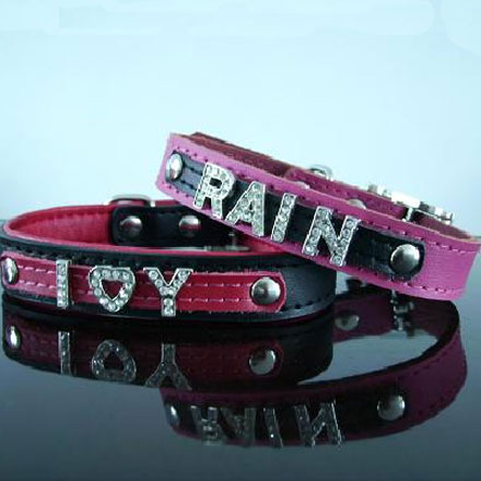 pet leash-pet collars