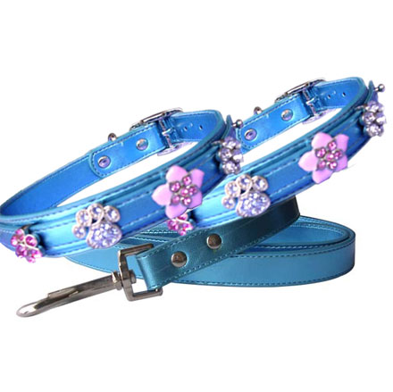 pet collars