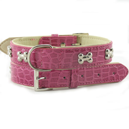 dog collars