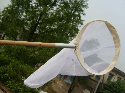 Student Insect Net