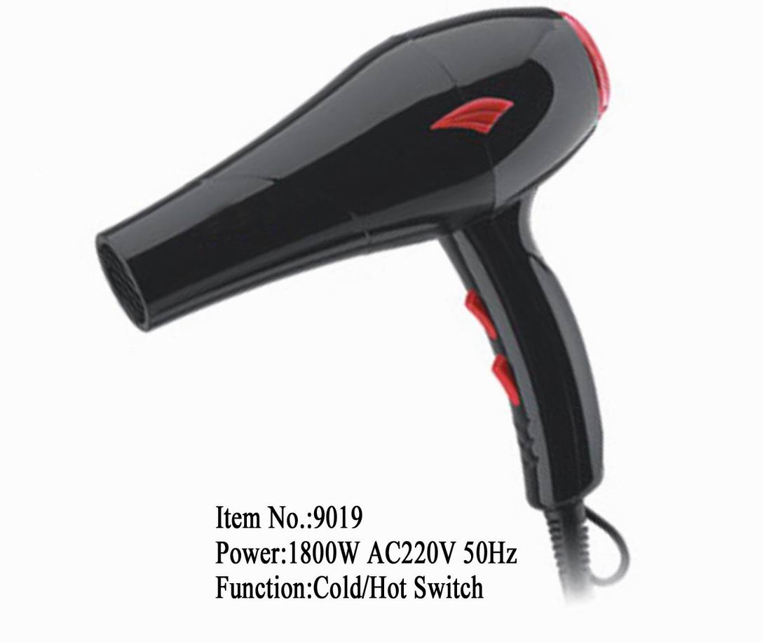 hair dryer 9019