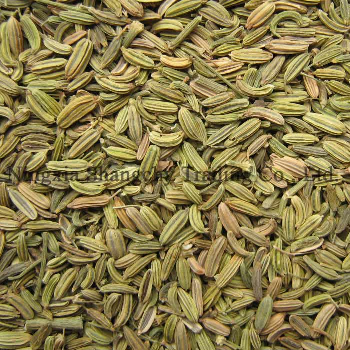 Fennel Seed 