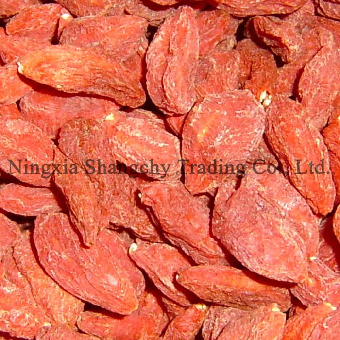 wolfberry ( goji )