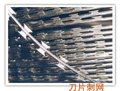 razor barbed wire mesh