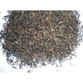 China Black Tea