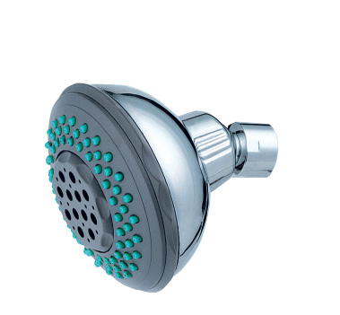 shower head (removable style)