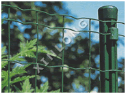 Garden Fence 