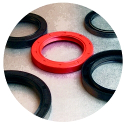 Oil-Seal & Rubber-Seal