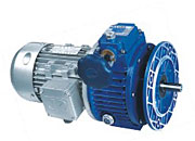 Variator (varied speed reducer)