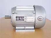 Electric Motor