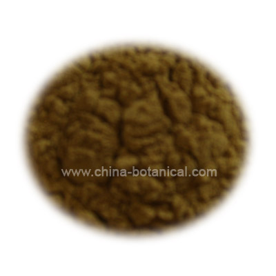 Ganoderma Lucidum Extract Powder