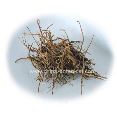 Chinese Thorowax Root