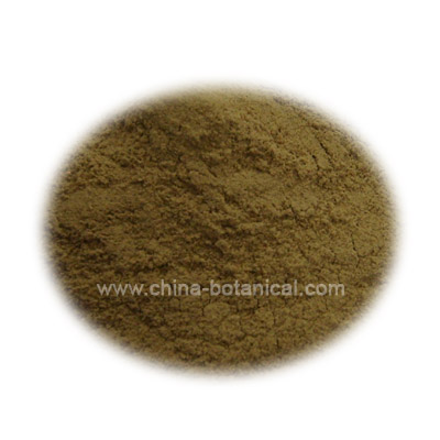 Ginseng Powder