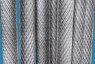 Welded wire mesh