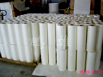 hot melt adhesive film