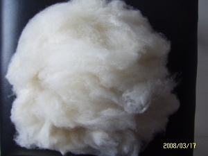 cashmere fibre