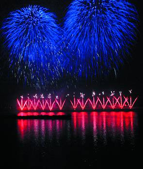 Best price fireworks for your market 