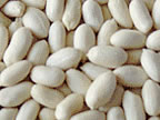 Blanched Peanut Kernel