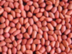 Red Skin Peanut Kernel