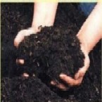 GreeNeem Bio Compost.