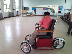 ELectrical wheel chair