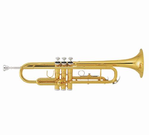 popular trumpet