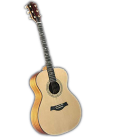 acoustic guitar