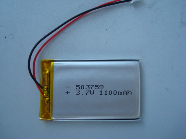 lithium polymer battery.GPS battery