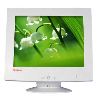 computer monitor