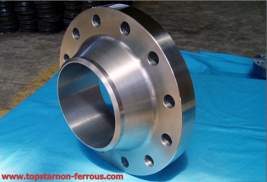 Titanium Flanges