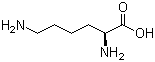 L-Lysine Base