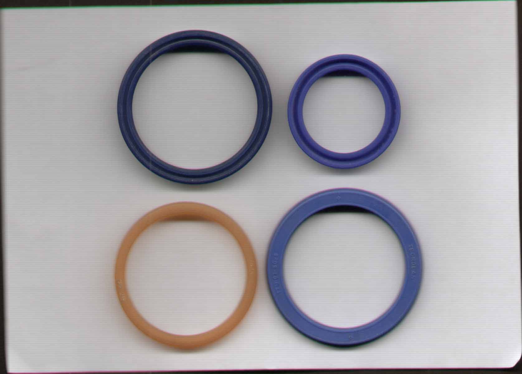 oil seal 