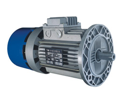  AC Brake Motor