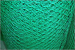 Welded Wire Mesh