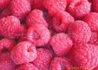 red raspberry   anthocyanin 