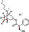 Butylscopolamine bromide 