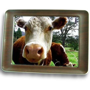 10.4-inch digital photo frame wooden frame