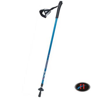 Aluminum Walking Stick