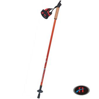 Canes Walking Stick