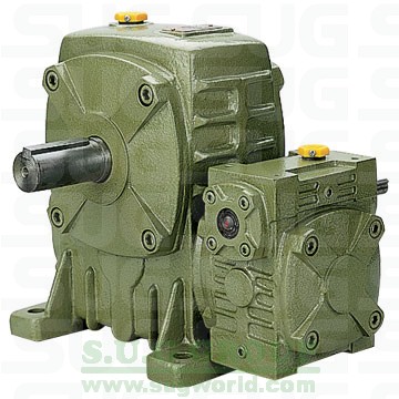 WPEA Worm Gear Reducer