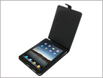 iPad leather case