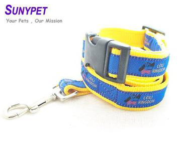 nylon dog collars and leashes