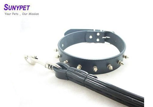 leather dog collars and leashes