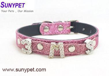 Dog Collar