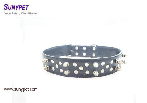  Dog Collar