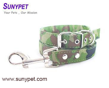 Dog Collar and Dog Leash