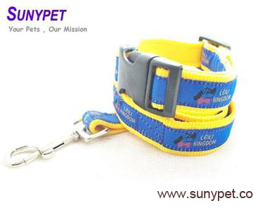 Dog Collar and Dog Leash