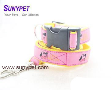 Dog Collar and Dog Leash